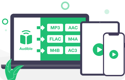 convert audible audiobooks