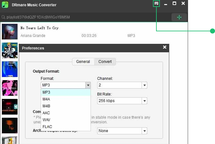 alter spotify output audio format