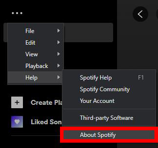 update spotify app on pc