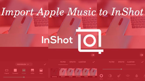 import apple music to inshot