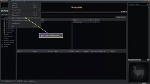 add apple music to winamp