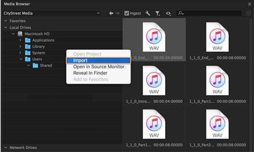 import youtube music files to premiere pro