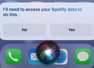 allow siri work with spotify