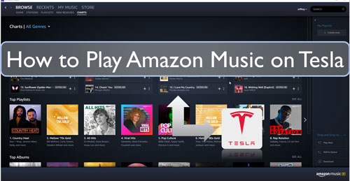 play amazon music on tesla