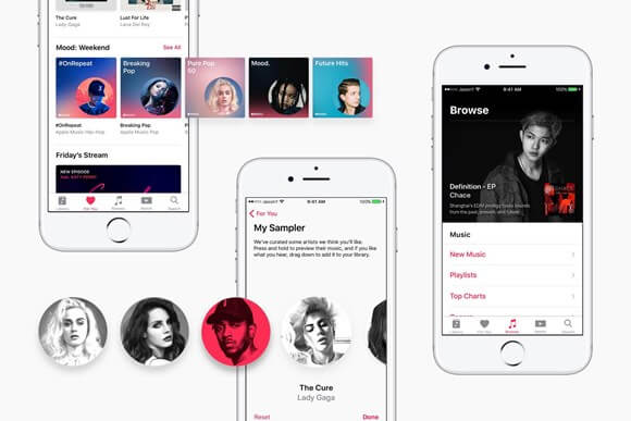 apple music discovery feature