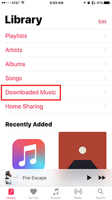 downloaded apple music