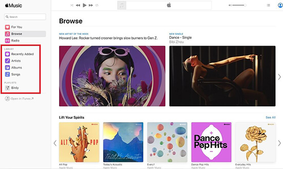 apple music web player main interface