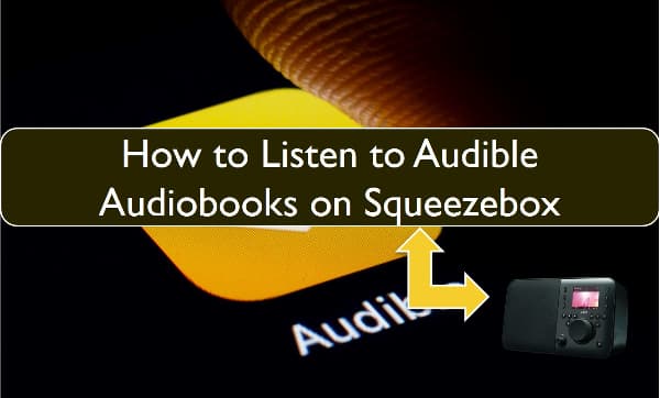 audible audiobooks on squeezebox