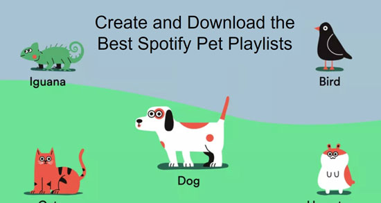 best spotify playlists for pets