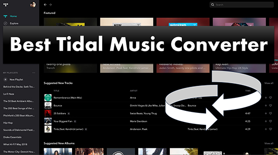 best tidal music converter