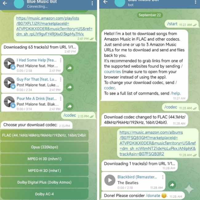blue music bot amazon music
