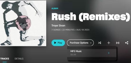 buy troye sivan song on amazon website