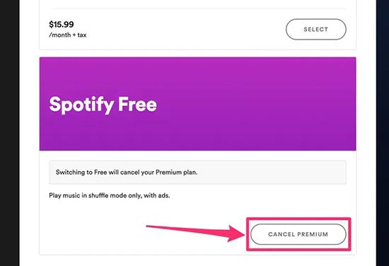 cancel premium on spotify ipad