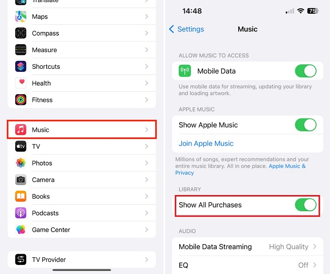 apple music setting on iphone
