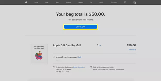 apple gift card check out