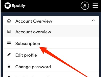 get spotify premium on ipad