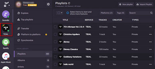 choose tidal as source platform on soundiiz