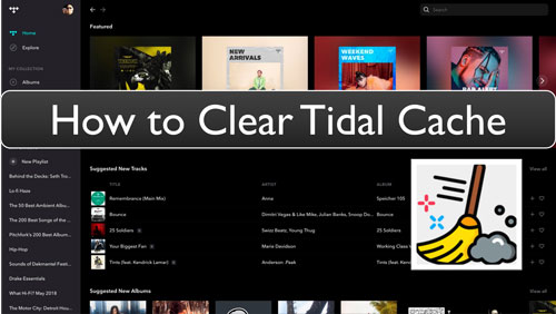 clear tidal cache