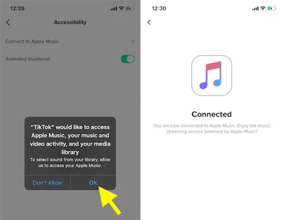 connect apple music to tiktok app