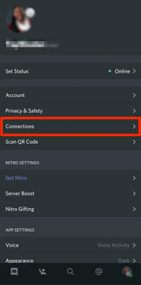 connections option on discord mobile app