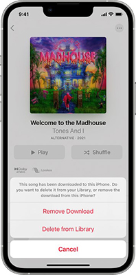 delete songs from apple music library