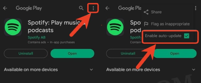 disable auto update spotify