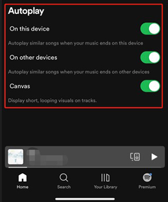 disable auto play on spotify