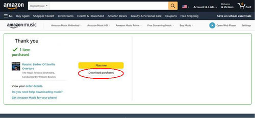 download purchased amazon music on website