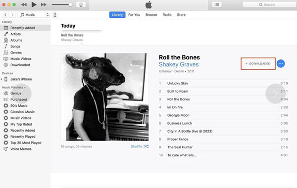 play apple music offline on mac and windows