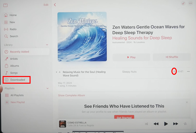 download apple music on ipad