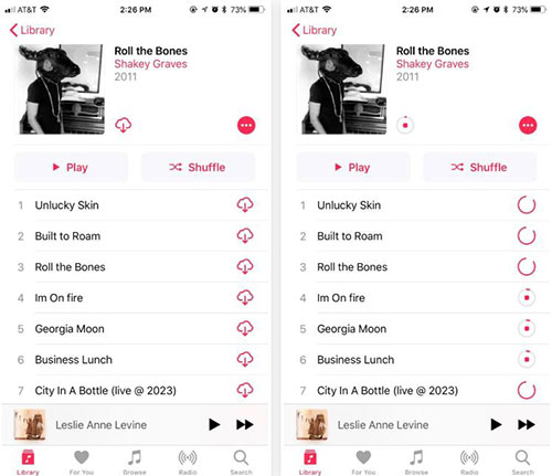 listen to apple music offline on mobile phone with subscription