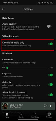 turn on download audio only on spotify mobile app