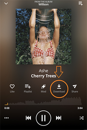 download audiomack songs on phone