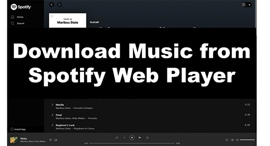 download spotify web player music