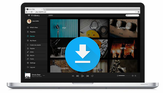 tidal downloader