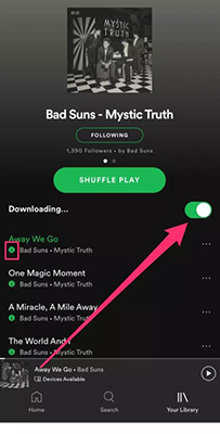 redownload spotify greyed out songs mobile