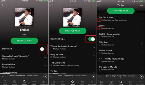 download spotify playlist on mobile with premium
