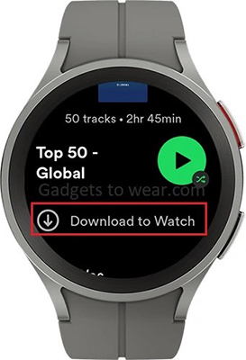 pixel watch spotify compatible device