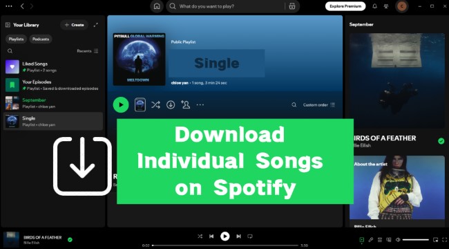 download spotify singles