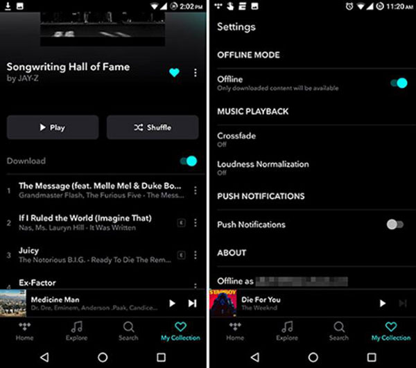 download music for offline use on tidal pc