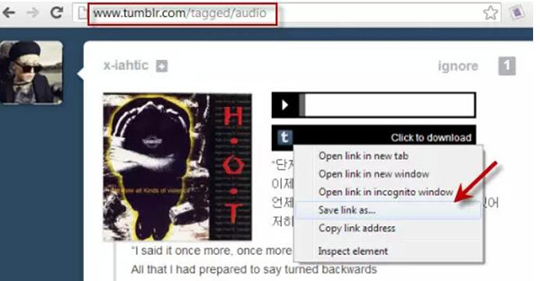 download tumblr with plugin