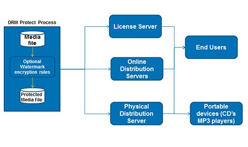 drm process flow