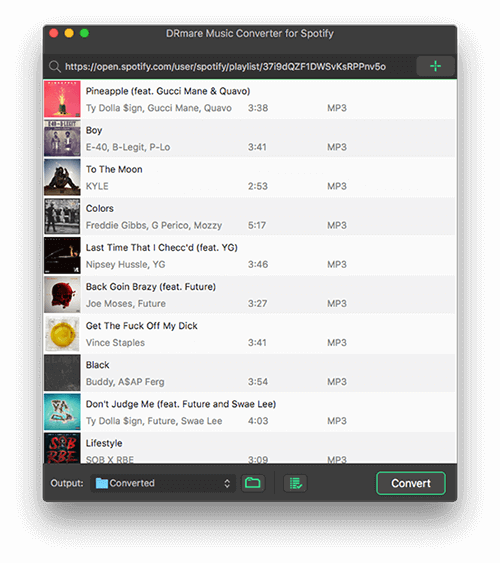 drmare spotify music converter