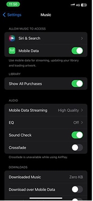 enable apple music mobile data to fix request timed out apple music