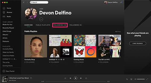 followers option under your spotify profile