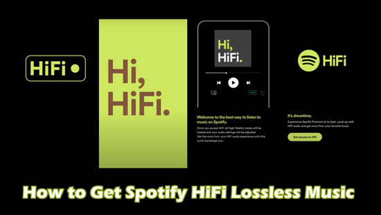 spotify hifi