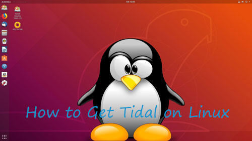 get tidal on linux