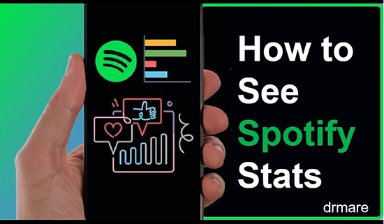 how to see spotify stats