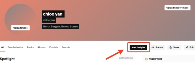 insights soundcloud desktop