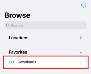 where are amazon music downloads stored on iphone